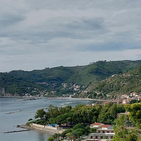 Tenuta Belvedere Cilento 蒙蒂克里斯 外观 照片