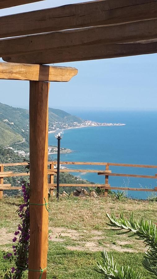 Tenuta Belvedere Cilento 蒙蒂克里斯 外观 照片