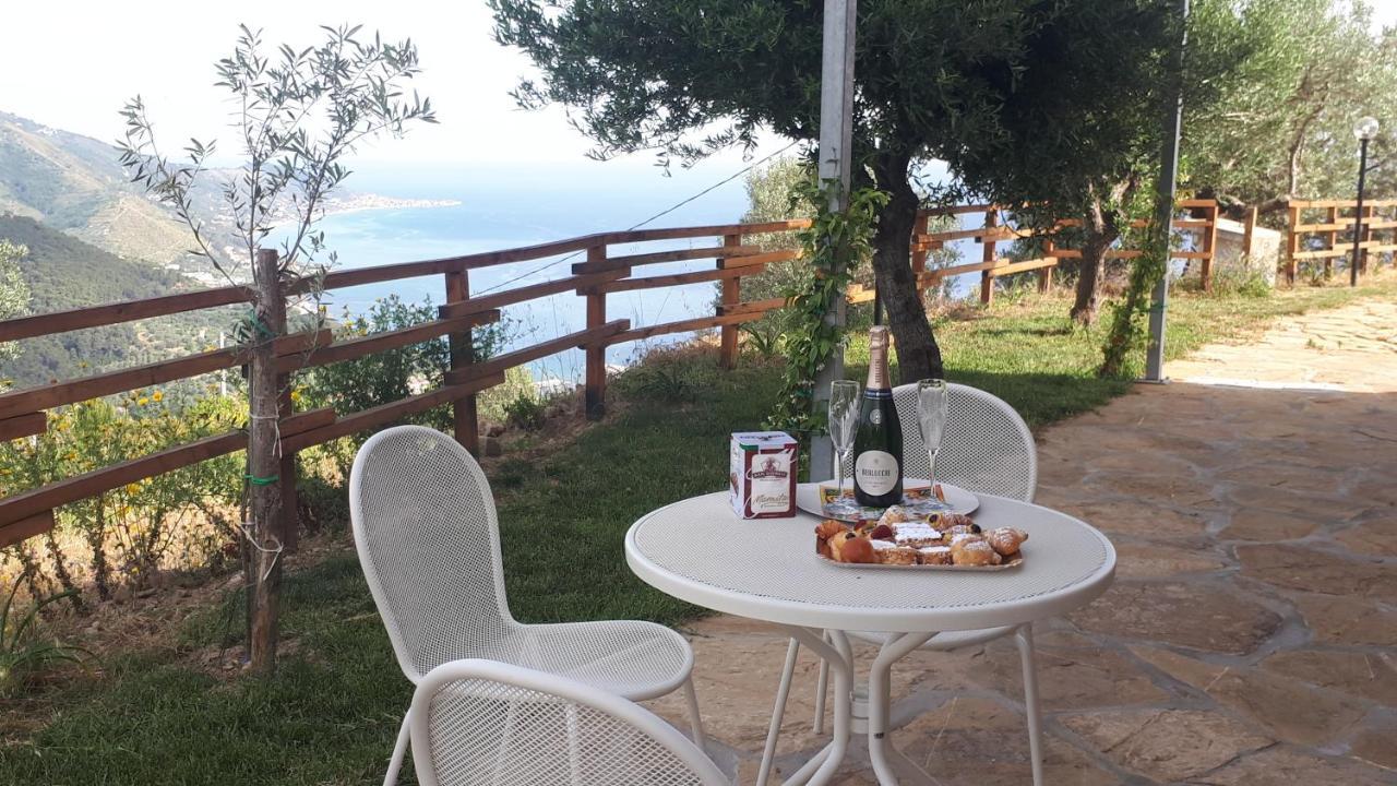 Tenuta Belvedere Cilento 蒙蒂克里斯 外观 照片