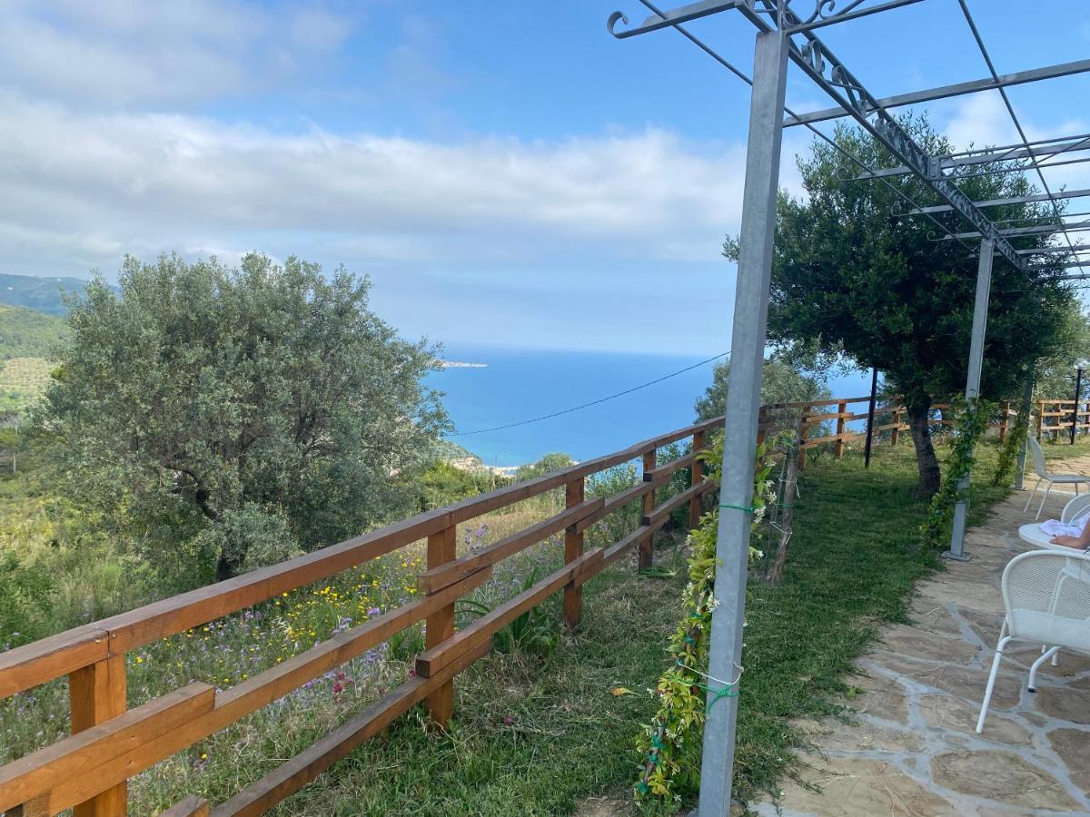 Tenuta Belvedere Cilento 蒙蒂克里斯 外观 照片