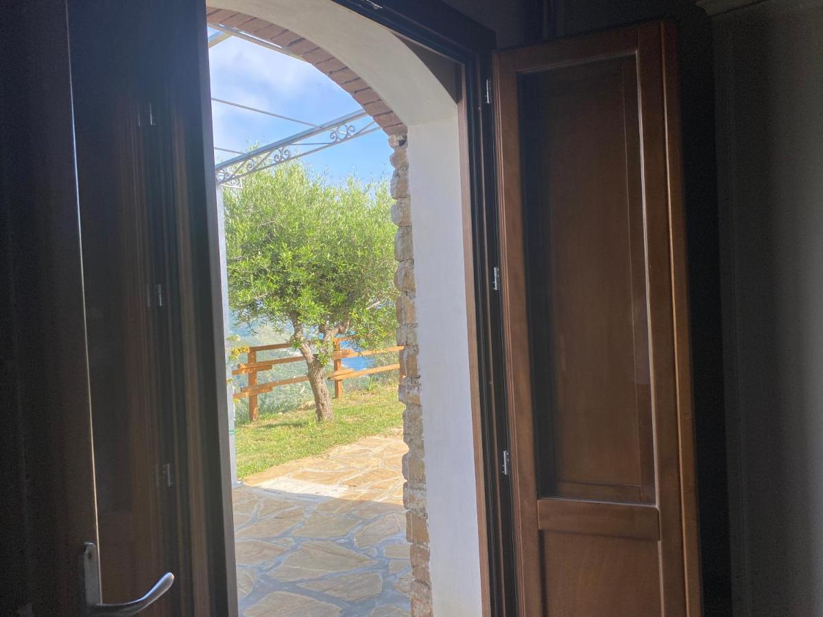 Tenuta Belvedere Cilento 蒙蒂克里斯 外观 照片