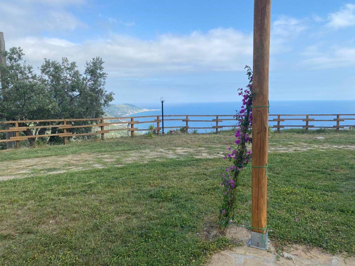Tenuta Belvedere Cilento 蒙蒂克里斯 外观 照片
