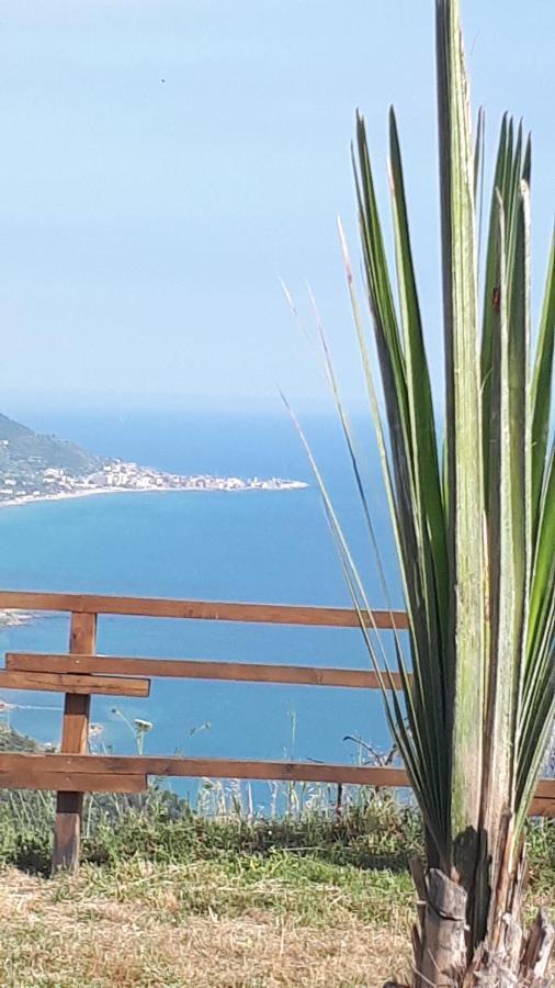 Tenuta Belvedere Cilento 蒙蒂克里斯 外观 照片
