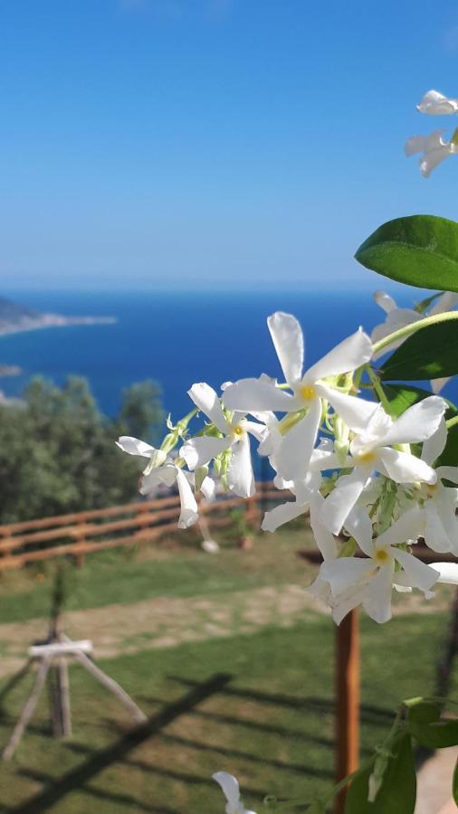 Tenuta Belvedere Cilento 蒙蒂克里斯 外观 照片