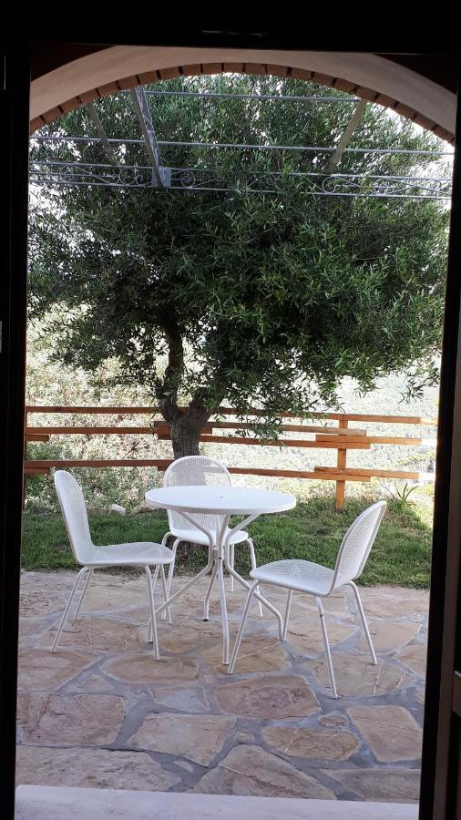 Tenuta Belvedere Cilento 蒙蒂克里斯 外观 照片