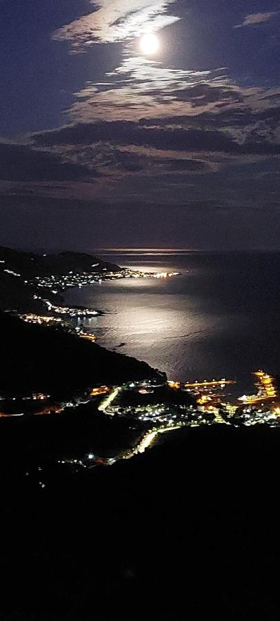 Tenuta Belvedere Cilento 蒙蒂克里斯 外观 照片