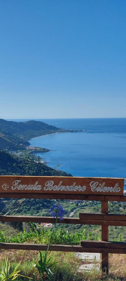 Tenuta Belvedere Cilento 蒙蒂克里斯 外观 照片