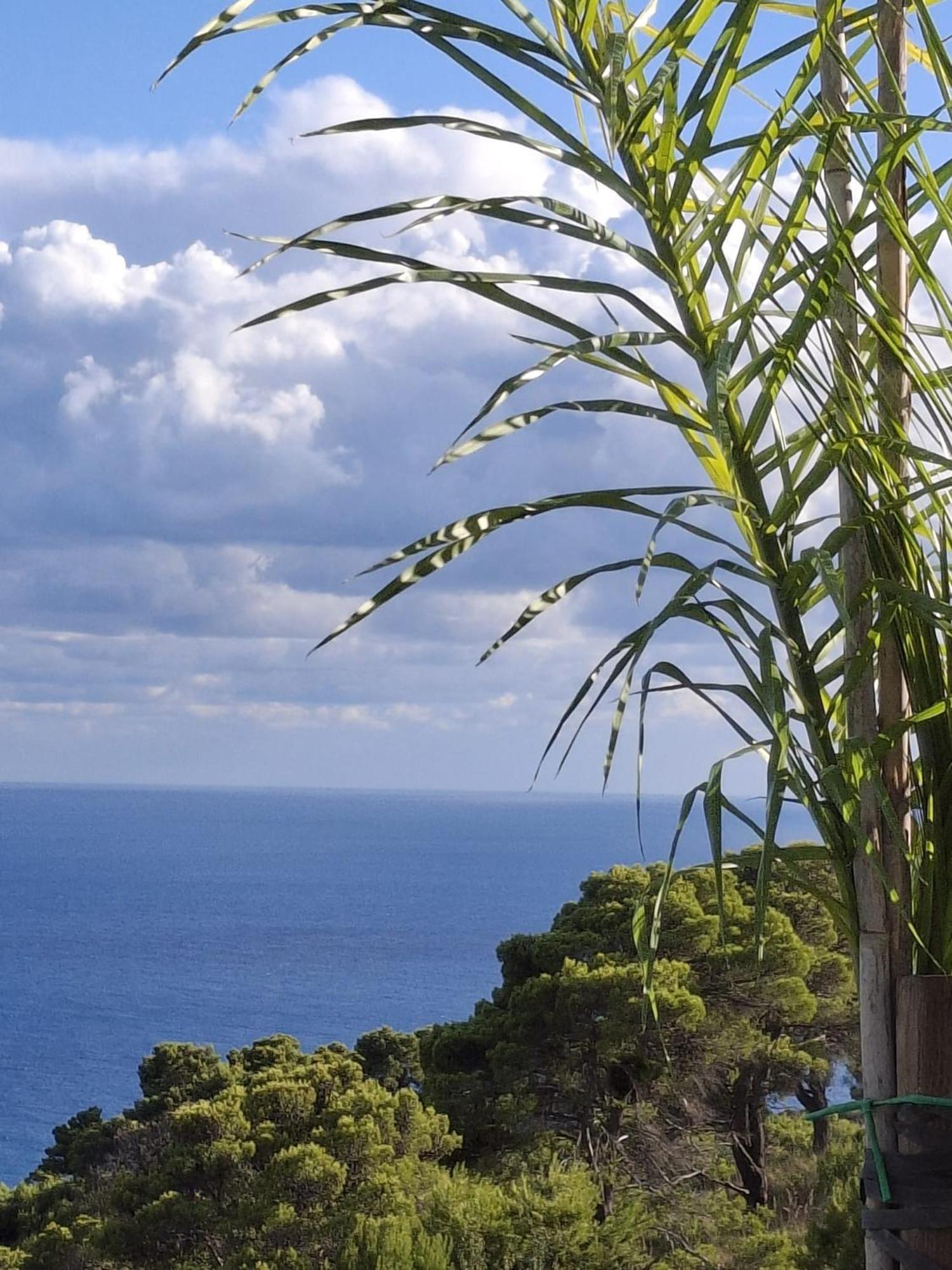 Tenuta Belvedere Cilento 蒙蒂克里斯 外观 照片